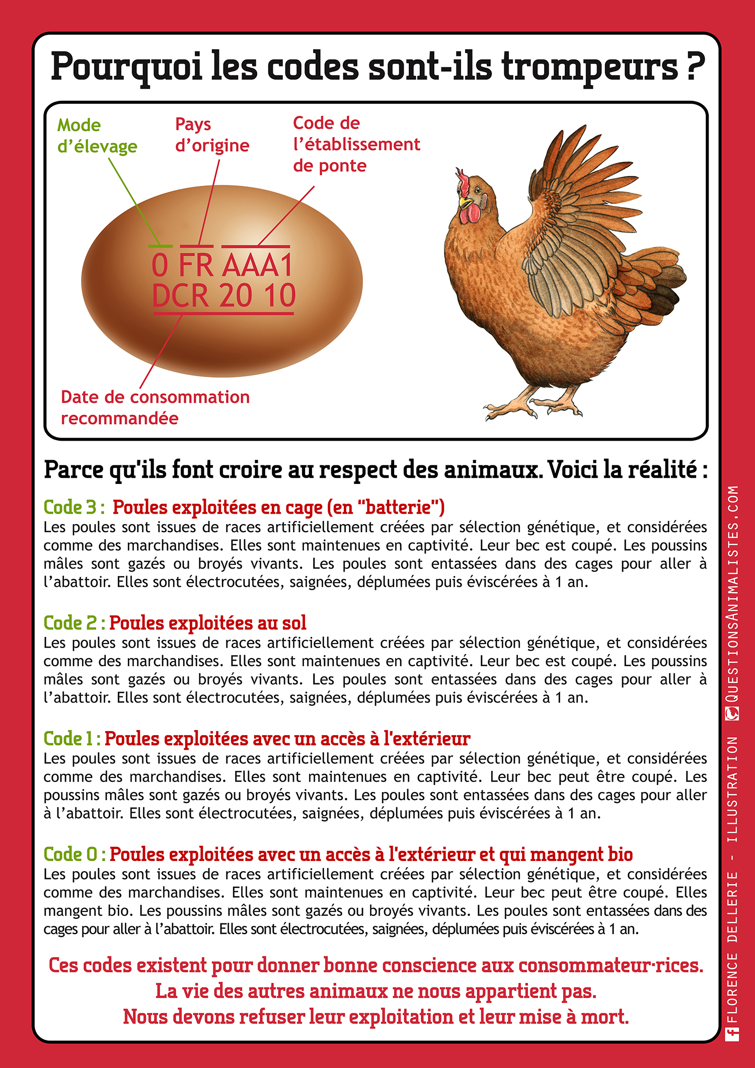vegan_oeufs_codes_poules_dellerie
