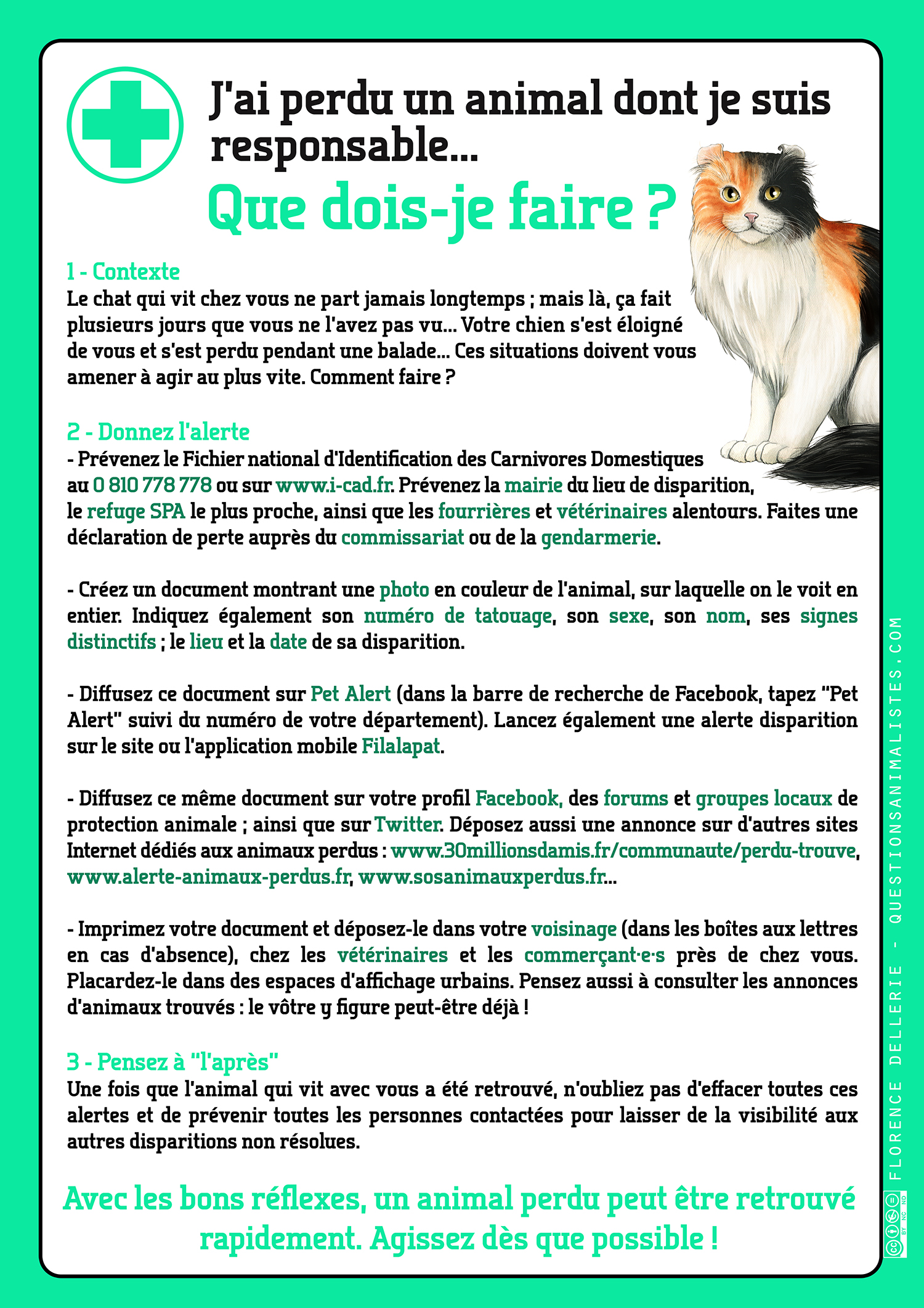 J Ai Perdu Un Animal Dont Je Suis Responsable Questions Animalistes