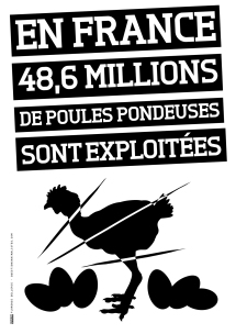 vegan_chiffres_48_millions_poules_pondeuses_florence_dellerie